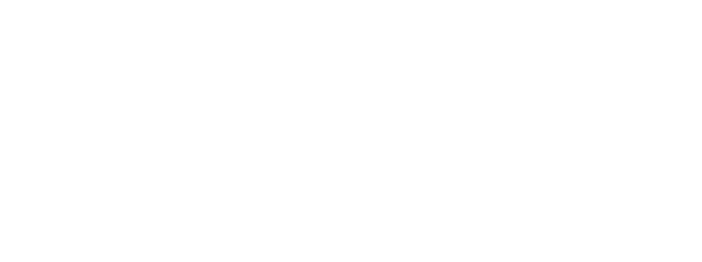 Official partner logo Amsterdam Light Festival